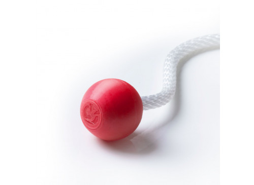 Ignis JellyPoi 24 & Pixel Knobs