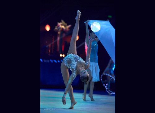 Rhythmic Gymnastics Ball M (17 cm)