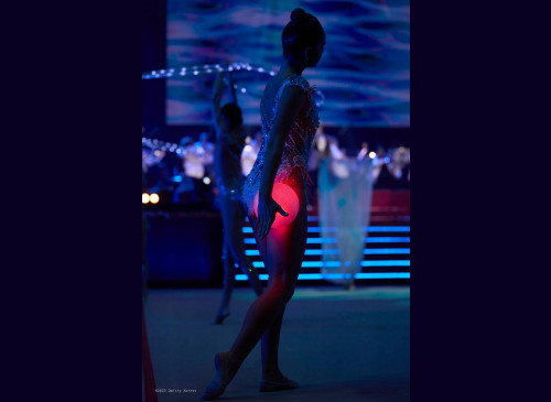 Rhythmic Gymnastics Ball L (18.5 cm)